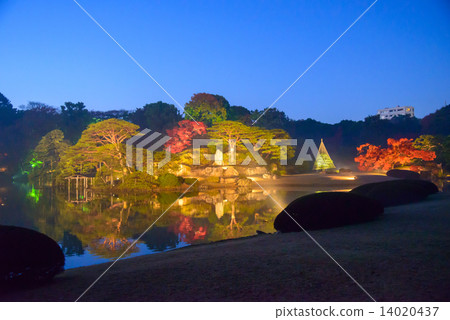 Autumn leaves of Tokyo Komagome Rokugien 14020437