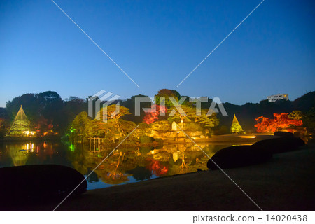 Autumn leaves of Tokyo Komagome Rokugien 14020438