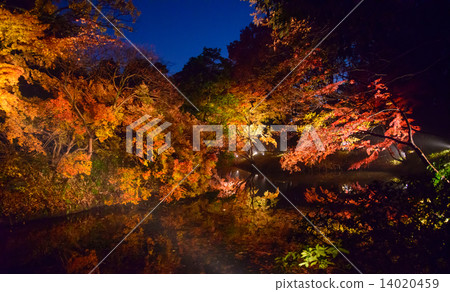 東京Komagome Rokugien秋葉 14020459