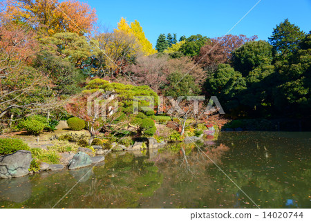 前Furukawa庭院的秋葉在東京 前Furukawa庭院的秋葉在東京 14020744