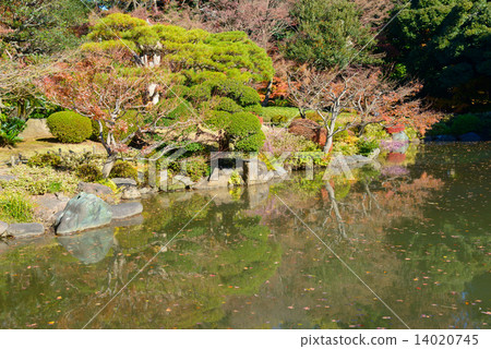 前Furukawa庭院的秋葉在東京 14020745
