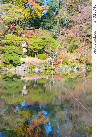 前Furukawa庭院的秋葉在東京 前Furukawa庭院的秋葉在東京 14020746