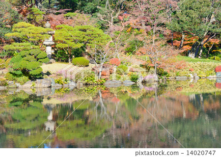 前Furukawa庭院的秋葉在東京 14020747