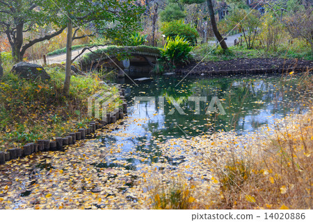 Mukojima在東京秋天的百花園 14020886