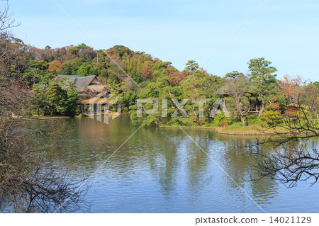 Autumn leaves of Yokohama Sankeien Garden 14021129
