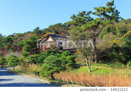 橫濱Sankeien庭院秋葉 14021221