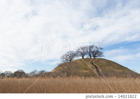 冬天的景色 14021822