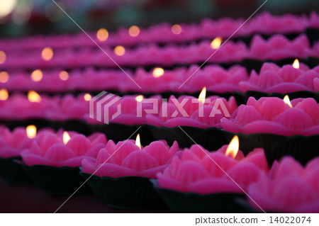 Chinese New Year Chinese New Year 14022074