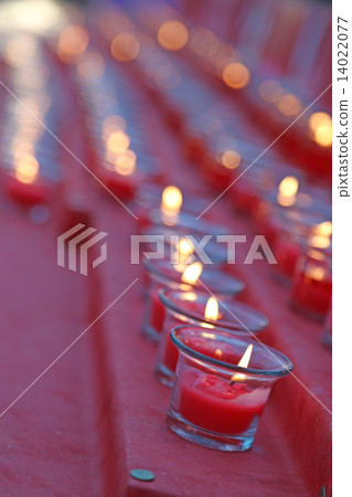 Chinese New Year 14022077