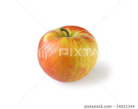 Apple Apple 14022344