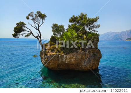 Island and trees in Brela, Croatia 14022911