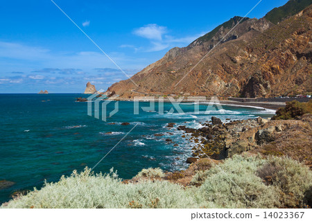 Coast in Tenerife island - Canary Spain Coast in Tenerife island - Canary Spain 14023367