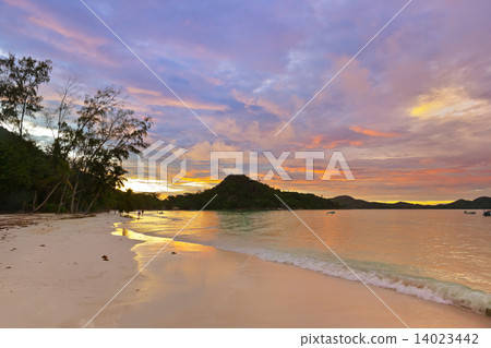 Tropical beach Cote d'Or at sunset - Seychelles 14023442