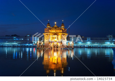 Golden Temple at night. Amritsar. India 14023734