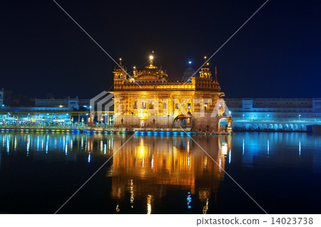 Golden Temple at night. Amritsar. India 14023738