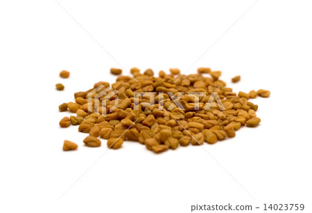 Fenugreek seeds 14023759