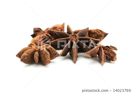 Anise stars 14023769