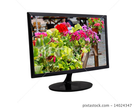 flower on a monitor 14024347