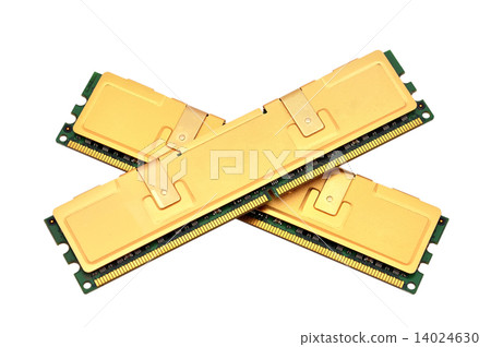 two gold ram 14024630