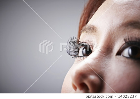 美女 美女 14025237