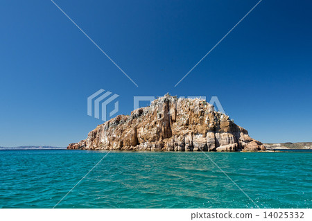baja california coast rocks and desert 14025332