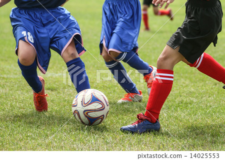 足球 足球 14025553