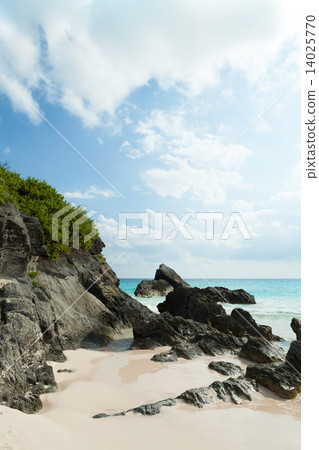 Horseshoe Bay Beach in Bermuda 14025770
