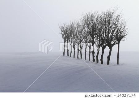 Ikeda no Hashiki 4 14027174