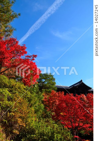 京都東福寺的秋天的落葉 京都東福寺的秋天的落葉 14027245