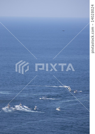 Piercing fleet Piercing fleet 14028024