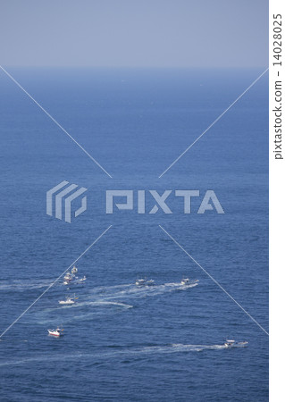 Piercing fleet Piercing fleet 14028025