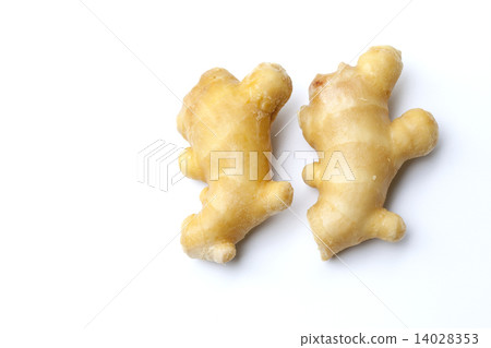Root ginger 14028353