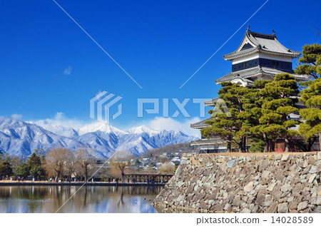 Winter sunny Matsumoto Castle and North Alps 14028589