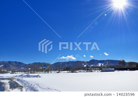 Nobeyama Plateau in winter fine 14028596