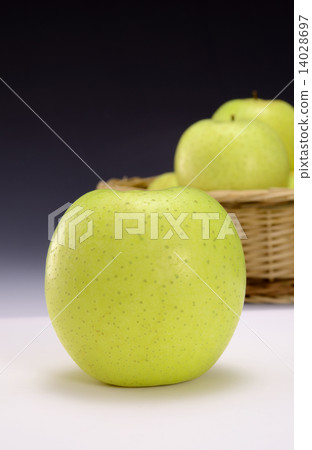 Apple  14028697