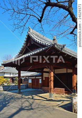 Tanoyuki Wand walking · Tendai sect Kanonaga-ji 14029371