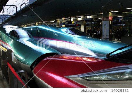 High-speed rail (Tokyo station) 14029381
