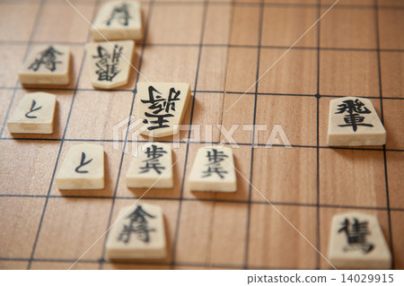 Shogi 14029915