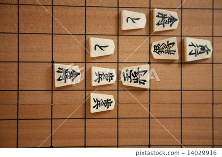Shogi 14029916