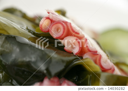 海藻和章魚醋 14030282