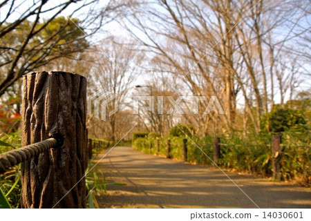 冬季步行道（2） 14030601