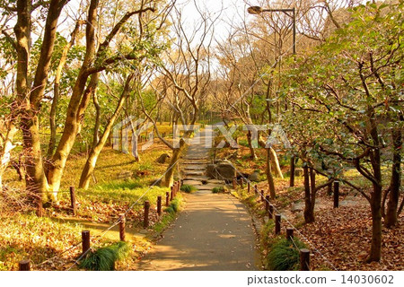 Walking in winter (3) 14030602