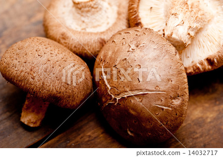 shiitake mushrooms shiitake mushrooms 14032717