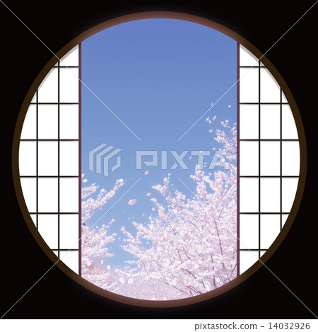 Row of cherry trees Row of cherry trees 14032926