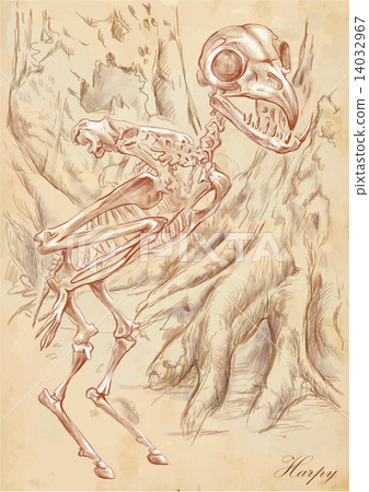 An hand drawn vector - Harpy An hand drawn vector - Harpy 14032967