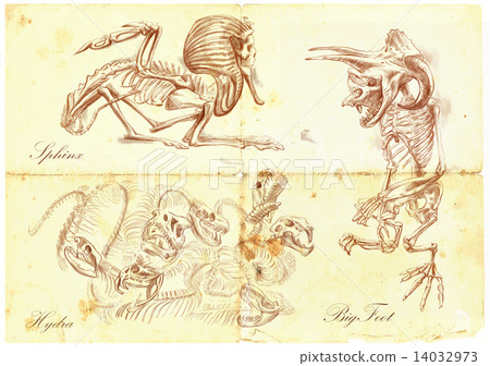 An hand drawn vector - Sphinx, Hydra, Bigfoot 14032973