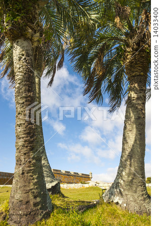 Santa Teresa fort. Rocha. Uruguay 14033400