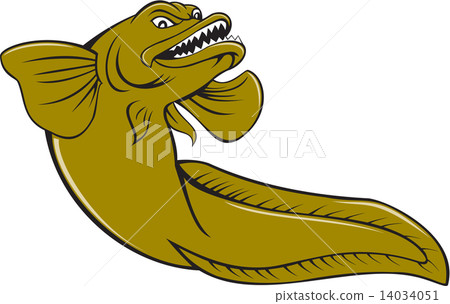 Eelpout Fish Angry Cartoon 14034051