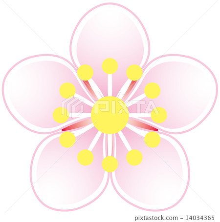 Seasonal green flower tree - White flower flower (flower) Seasonal green flower tree - White flower flower (flower) 14034365