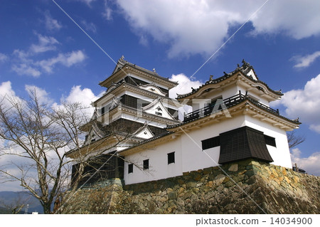 Ozu castle 14034900
